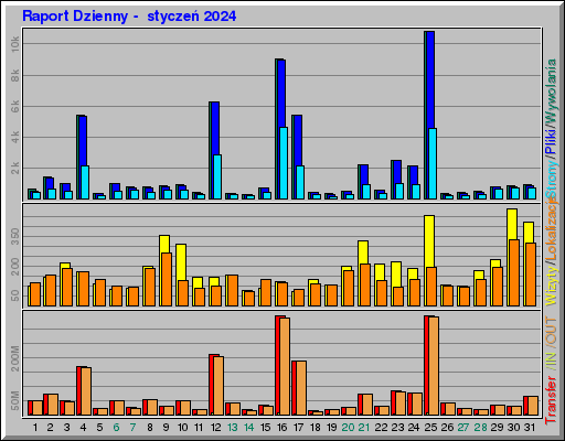 Raport Dzienny -  styczeń 2024