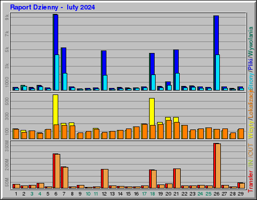 Raport Dzienny -  luty 2024