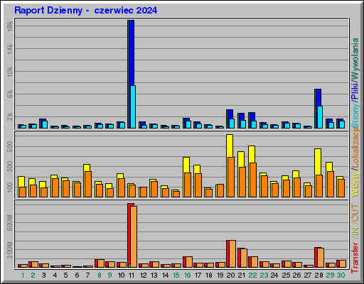 Raport Dzienny -  czerwiec 2024