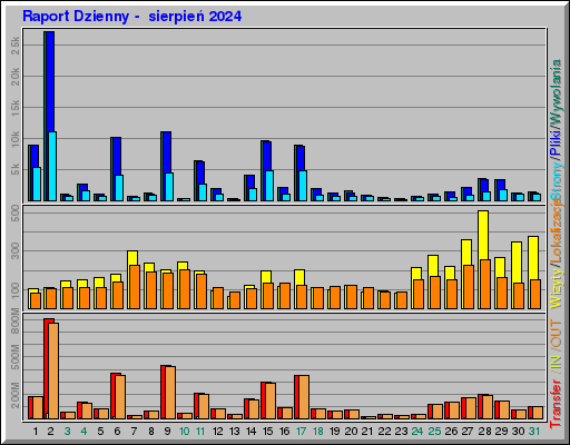 Raport Dzienny -  sierpień 2024