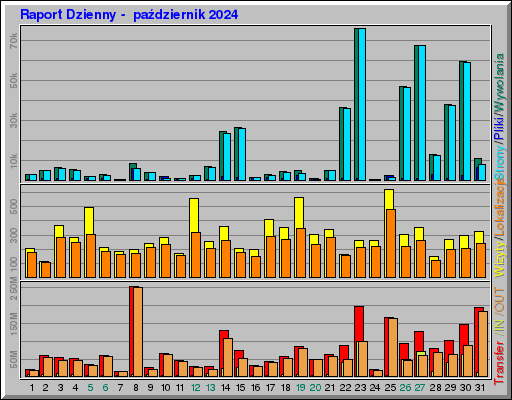 Raport Dzienny -  październik 2024