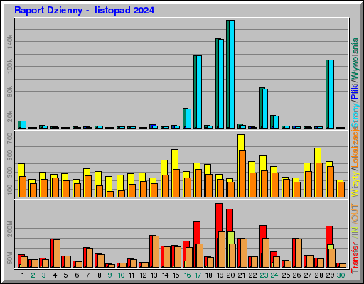 Raport Dzienny -  listopad 2024