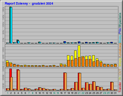 Raport Dzienny -  grudzień 2024