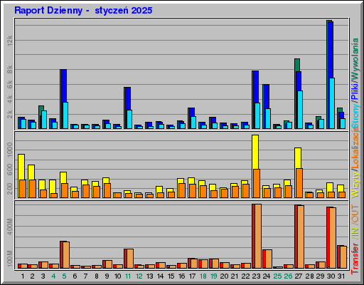 Raport Dzienny -  styczeń 2025
