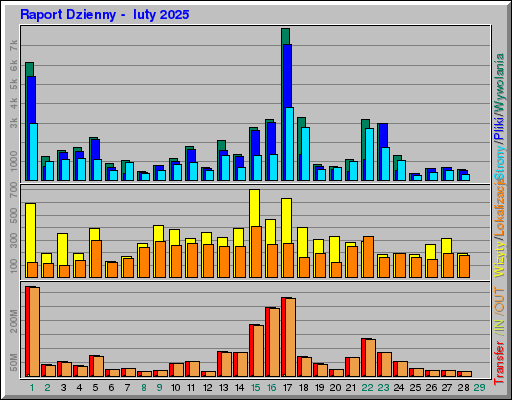 Raport Dzienny -  luty 2025