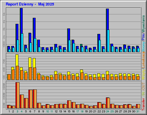 Raport Dzienny -  Maj 2025