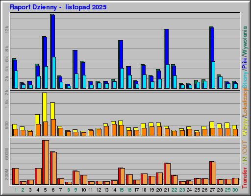 Raport Dzienny -  listopad 2025