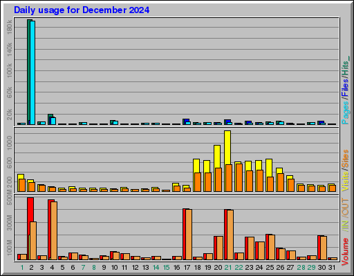 Raport Dzienny -  grudzień 2024