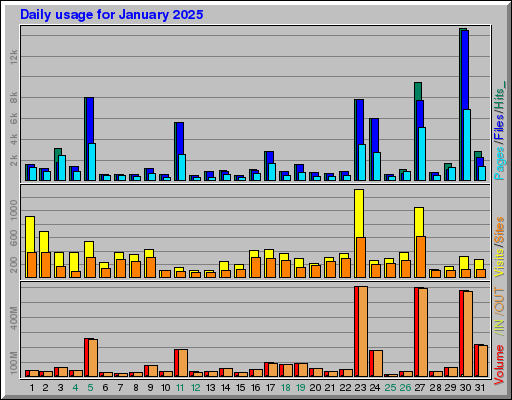 Raport Dzienny -  styczeń 2025