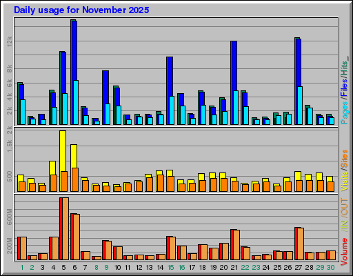 Raport Dzienny -  listopad 2025