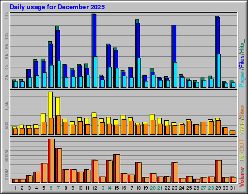 Raport Dzienny -  grudzień 2025