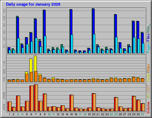 Raport Dzienny -  styczeń 2026
