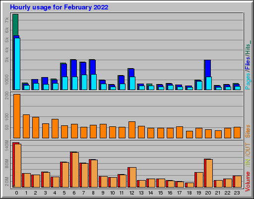 Raport Godzinowy -  luty 2022