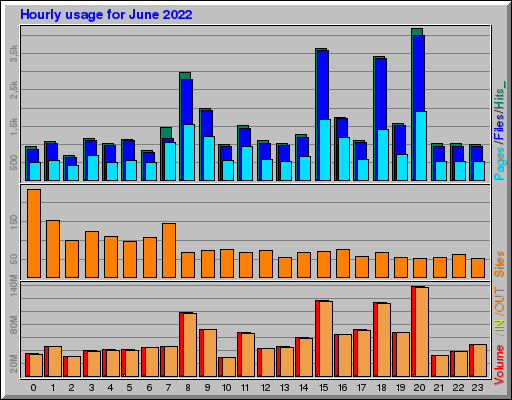 Raport Godzinowy -  czerwiec 2022