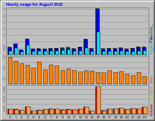 Raport Godzinowy -  sierpień 2022