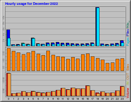 Raport Godzinowy -  grudzień 2022