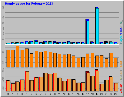 Raport Godzinowy -  luty 2023