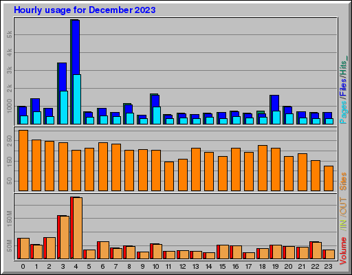 Raport Godzinowy -  grudzień 2023