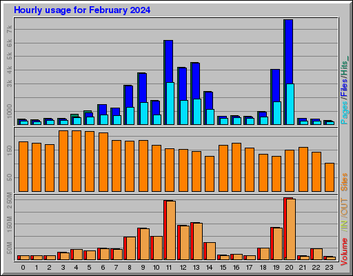 Raport Godzinowy -  luty 2024