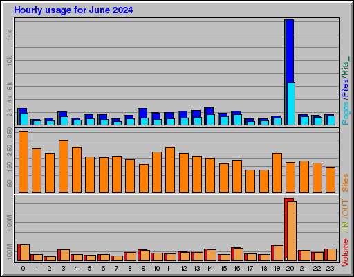 Raport Godzinowy -  czerwiec 2024