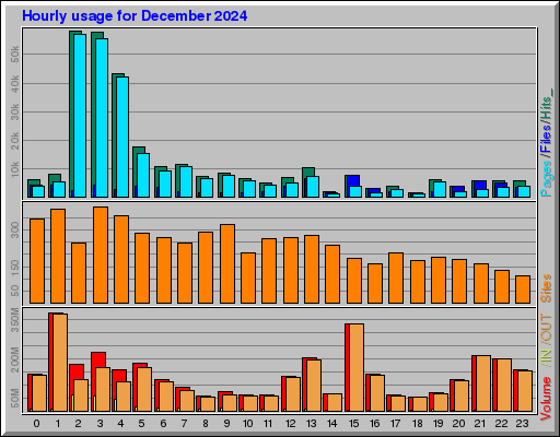 Raport Godzinowy -  grudzień 2024