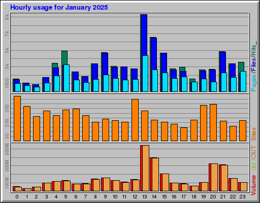 Raport Godzinowy -  styczeń 2025