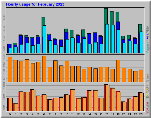 Raport Godzinowy -  luty 2025