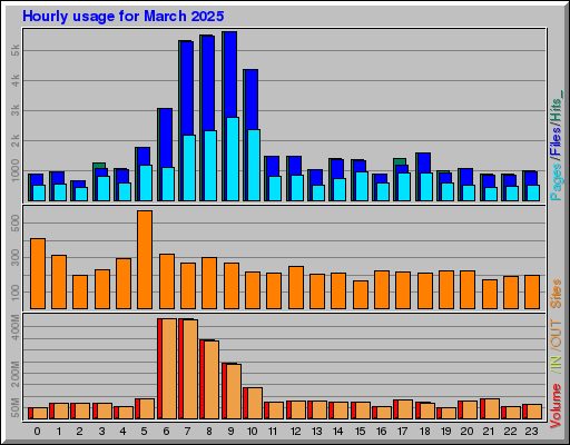 Raport Godzinowy -  marzec 2025