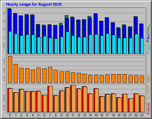 Raport Godzinowy -  sierpień 2025
