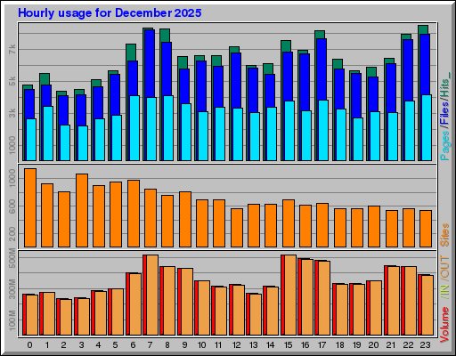 Raport Godzinowy -  grudzień 2025