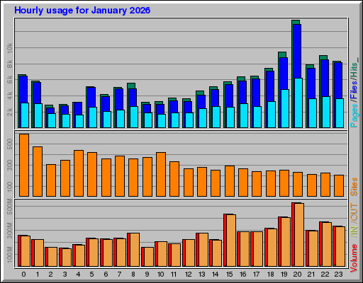 Raport Godzinowy -  styczeń 2026