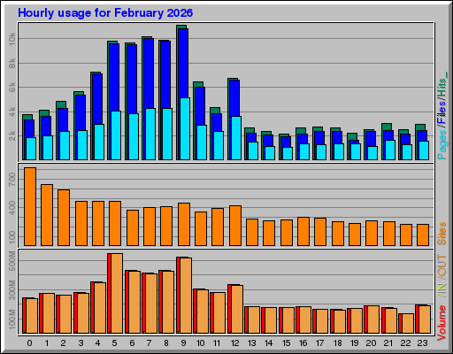 Raport Godzinowy -  luty 2026