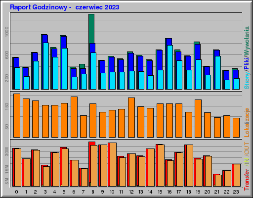 Raport Godzinowy -  czerwiec 2023