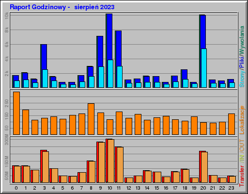 Raport Godzinowy -  sierpień 2023