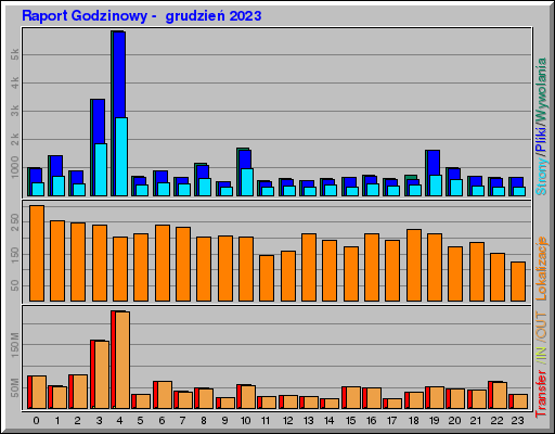 Raport Godzinowy -  grudzień 2023