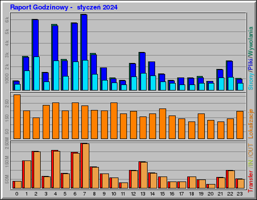 Raport Godzinowy -  styczeń 2024