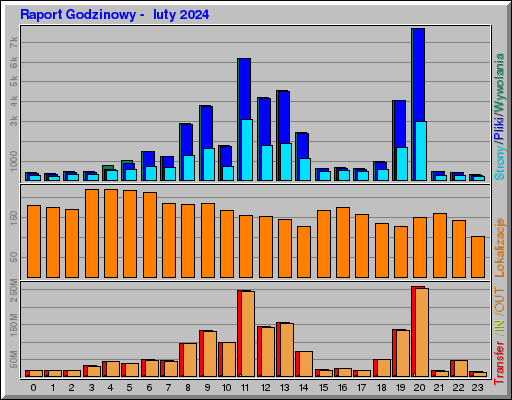Raport Godzinowy -  luty 2024