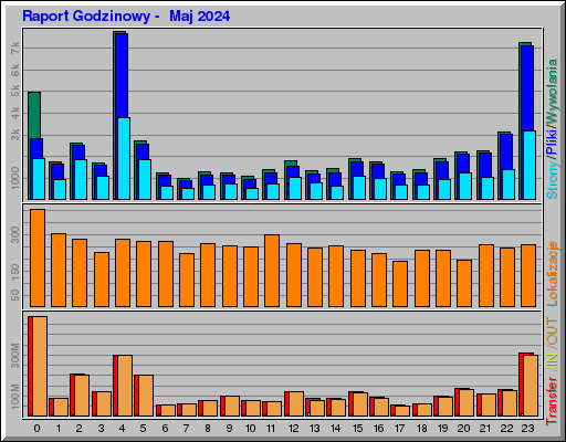 Raport Godzinowy -  Maj 2024