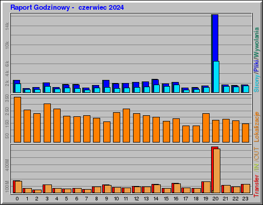 Raport Godzinowy -  czerwiec 2024