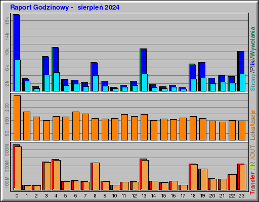 Raport Godzinowy -  sierpień 2024