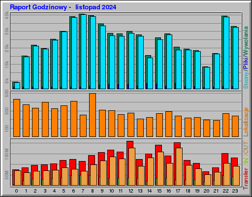 Raport Godzinowy -  listopad 2024