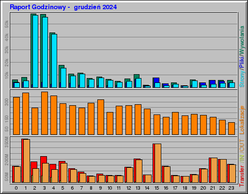 Raport Godzinowy -  grudzień 2024