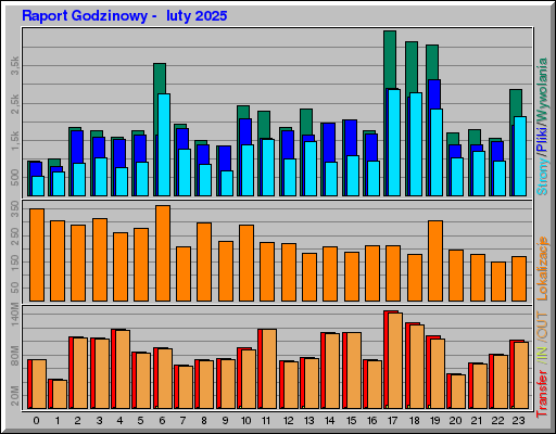 Raport Godzinowy -  luty 2025