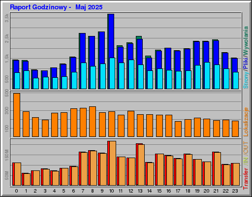 Raport Godzinowy -  Maj 2025