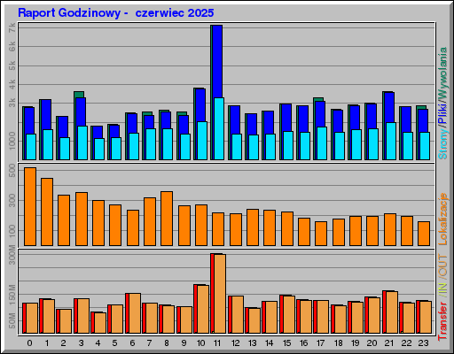 Raport Godzinowy -  czerwiec 2025