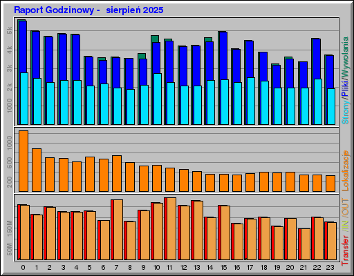 Raport Godzinowy -  sierpień 2025
