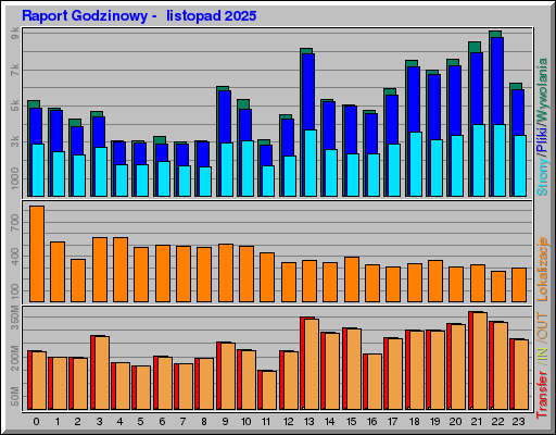 Raport Godzinowy -  listopad 2025