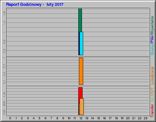 Raport Godzinowy -  luty 2017