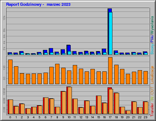 Raport Godzinowy -  marzec 2023