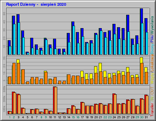 Raport Dzienny -  sierpień 2020